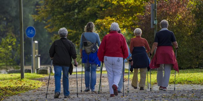 bluelightpictures-nordic-walking-1814784_1920 bluelightpictures-nordic-walking-1814784_1920